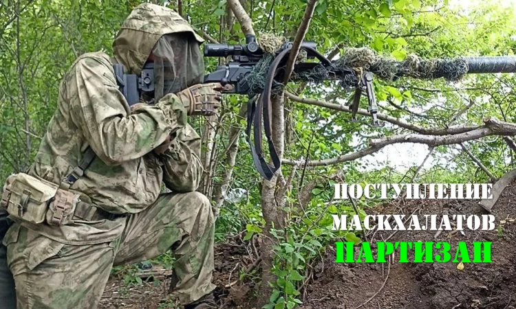 партизан