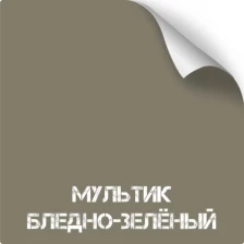 Краска для оружия износостойкая NK Titanium (350 мл)(Мультик бледно-зеленый)