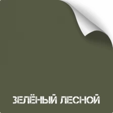 Краска для оружия износостойкая NK Titanium (350 мл)(Зеленый Лесной)