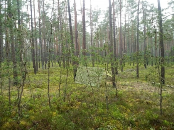 Тент-палатка Helikon SUPERTARP (3x3м)(PenCott WildWood) фото 5