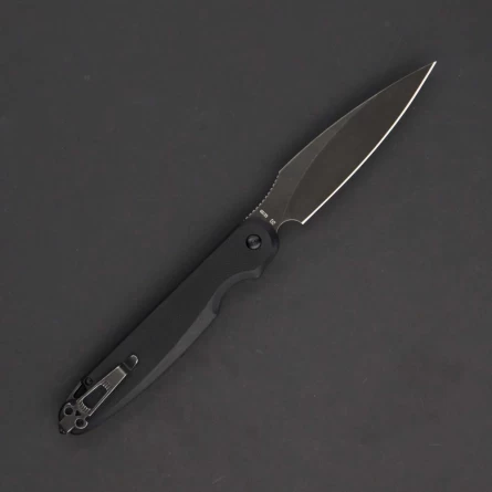 Нож складной Daggerr Parrot All Black 3.0 BW (G10, D2) фото 1