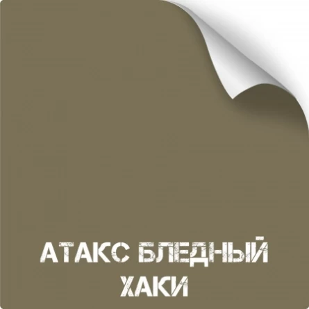 Краска для оружия износостойкая NK Titanium (350 мл)(Атакс бледный хаки) фото 1