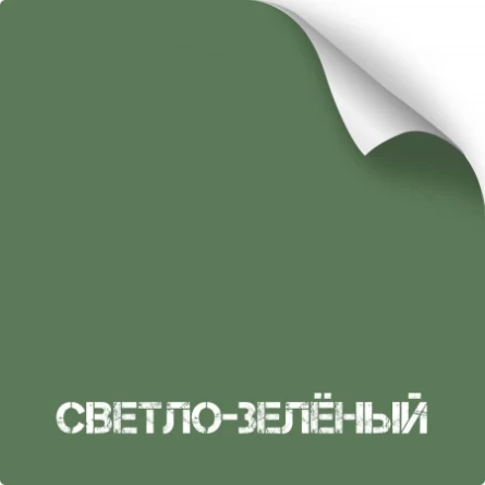 Краска для оружия износостойкая NK Titanium (350 мл)(Светло-зеленый) фото 1