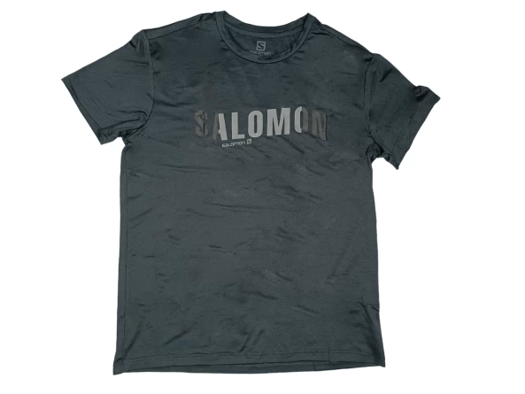 Футболка Salomon Outlife Logo (серый) фото 1