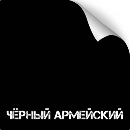 Краска для оружия износостойкая NK Titanium (350 мл)(Армейский черный) фото 1